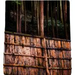 Routledge Alternative Process Photography eBook 1st Edition Kindle-0