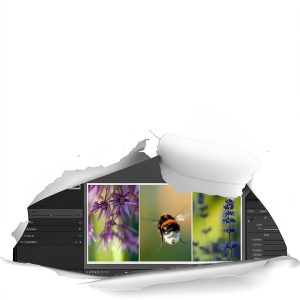 Photography Darkroom and Processing Guide Thommy Andersen Kindle eBook-0